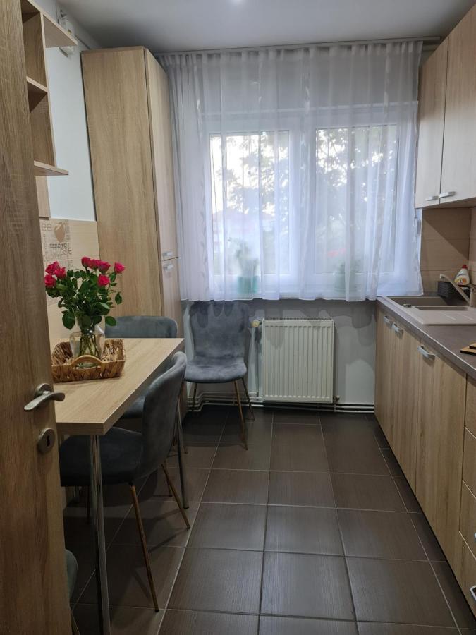 Apartament Modern Cristina&Jessica Mediaş Eksteriør bilde