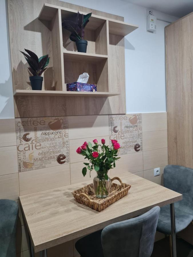 Apartament Modern Cristina&Jessica Mediaş Eksteriør bilde
