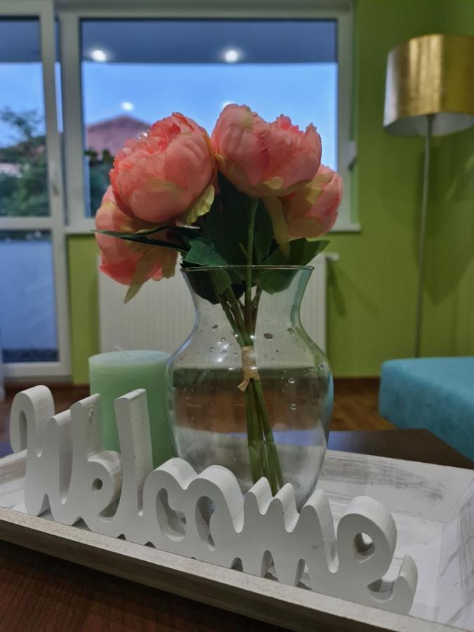 Apartament Modern Cristina&Jessica Mediaş Eksteriør bilde