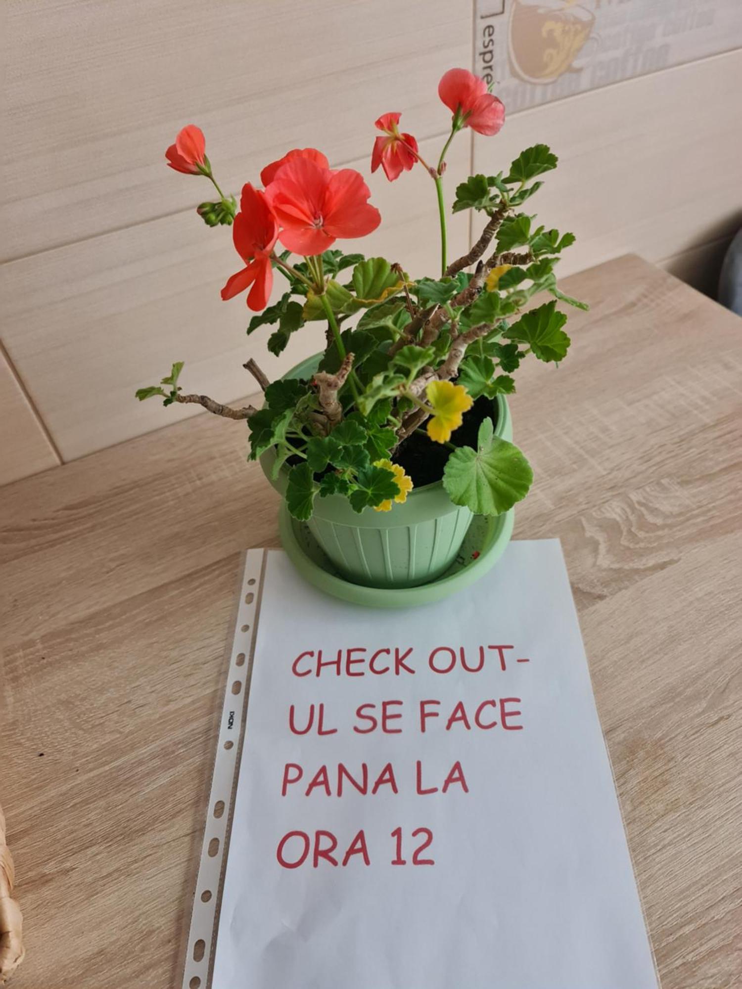Apartament Modern Cristina&Jessica Mediaş Eksteriør bilde